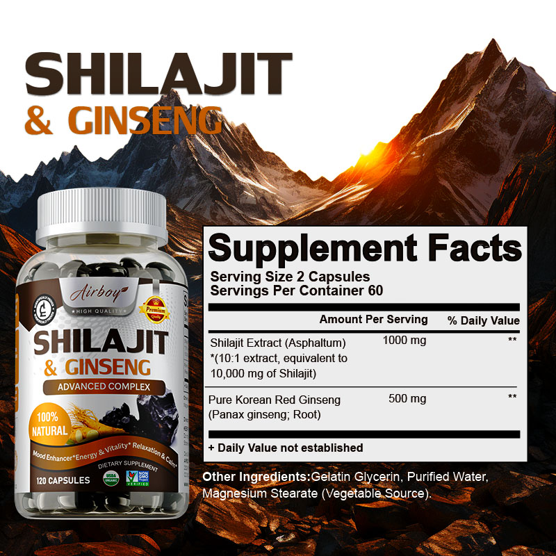 シラジットと高麗人参 - エネルギーと活力のサポート、精神的 - Ginkgo Biloba Extract のレビューと価格