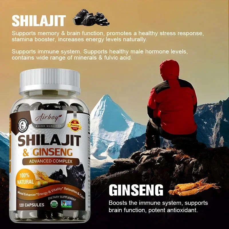 シラジットと高麗人参 - エネルギーと活力のサポート、精神的 - Ginkgo Biloba Extract のレビューと価格