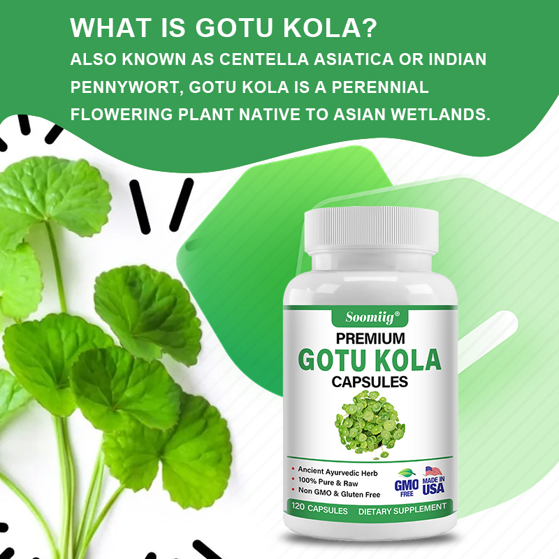 ゴツコラカプセル 1300mg - ギンコビロバ、脳の健康、 - Ginkgo Biloba Extract のレビューと価格