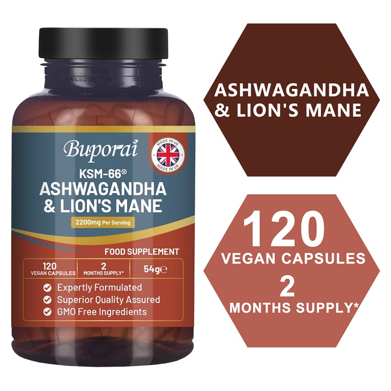 アシュワガンダとライオンズメイン - ストレス軽減、エネルギ - Ginkgo Biloba Extract のレビューと価格