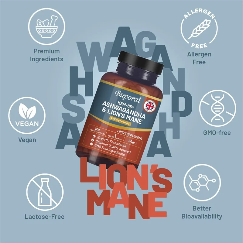 アシュワガンダとライオンズメイン - ストレス軽減、エネルギ - Ginkgo Biloba Extract のレビューと価格