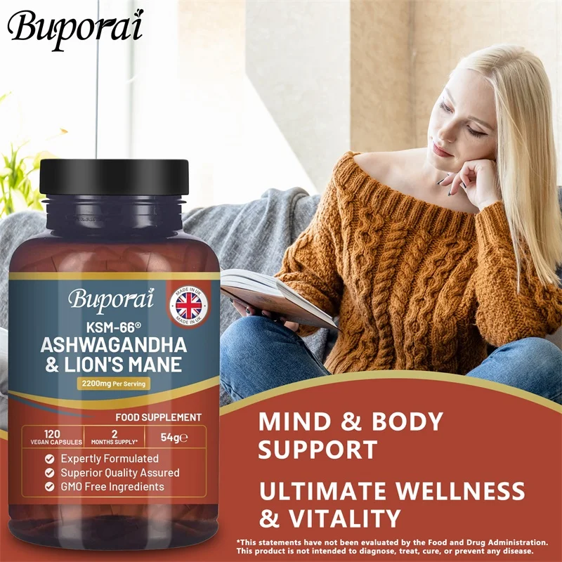アシュワガンダとライオンズメイン - ストレス軽減、エネルギ - Ginkgo Biloba Extract のレビューと価格
