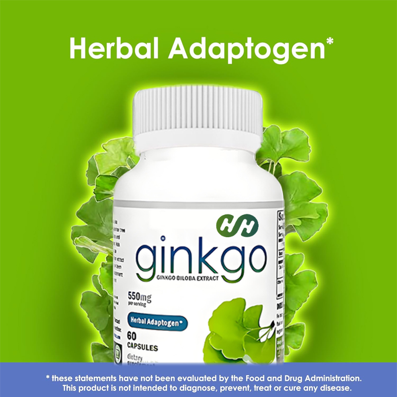 栄養豊富なイチョウ葉エキス550mgサプリメント 認知機能と - Ginkgo Biloba Extract のレビューと価格