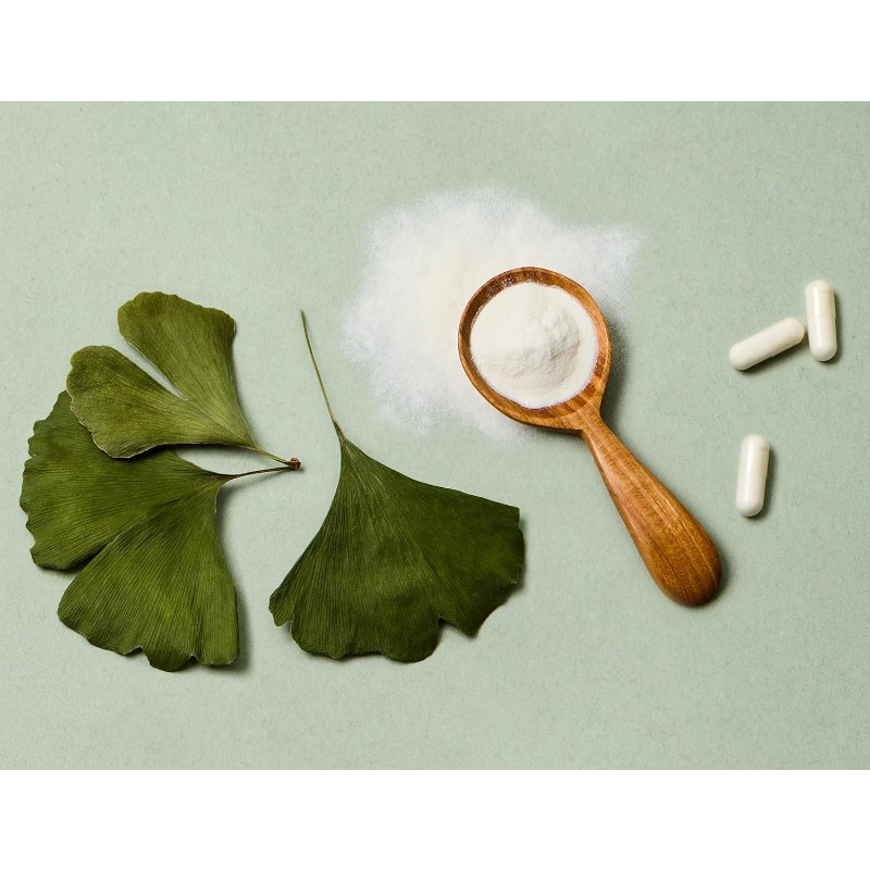 イチョウ葉エキスカプセル |   240mg 60カプセル - Ginkgo Biloba Extract のレビューと価格